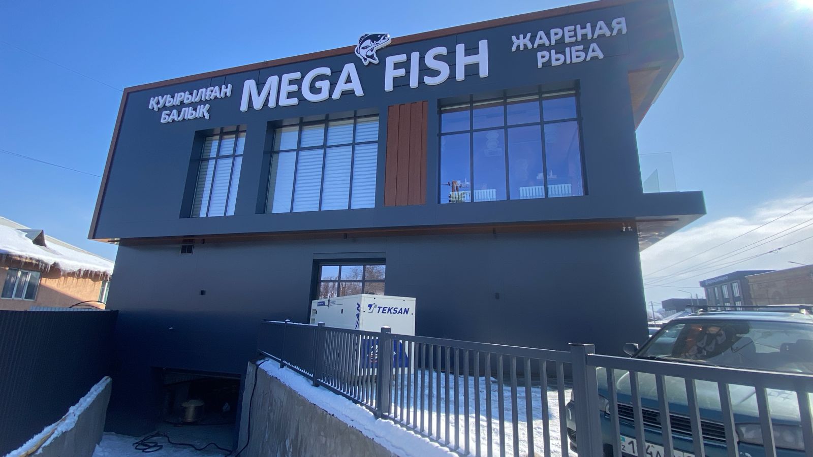 Mega Fish